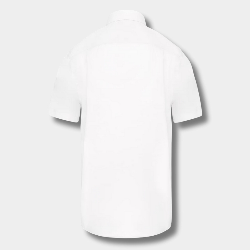 Chemise Homme Élégance Style Chic & Confort Sans Repassage | Arc Distribution